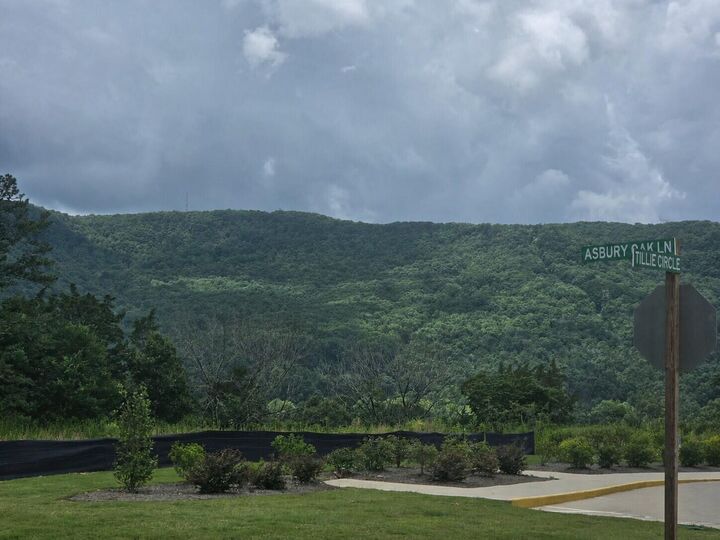 Property Photo:  4251 Tillie Circle  TN 37419 