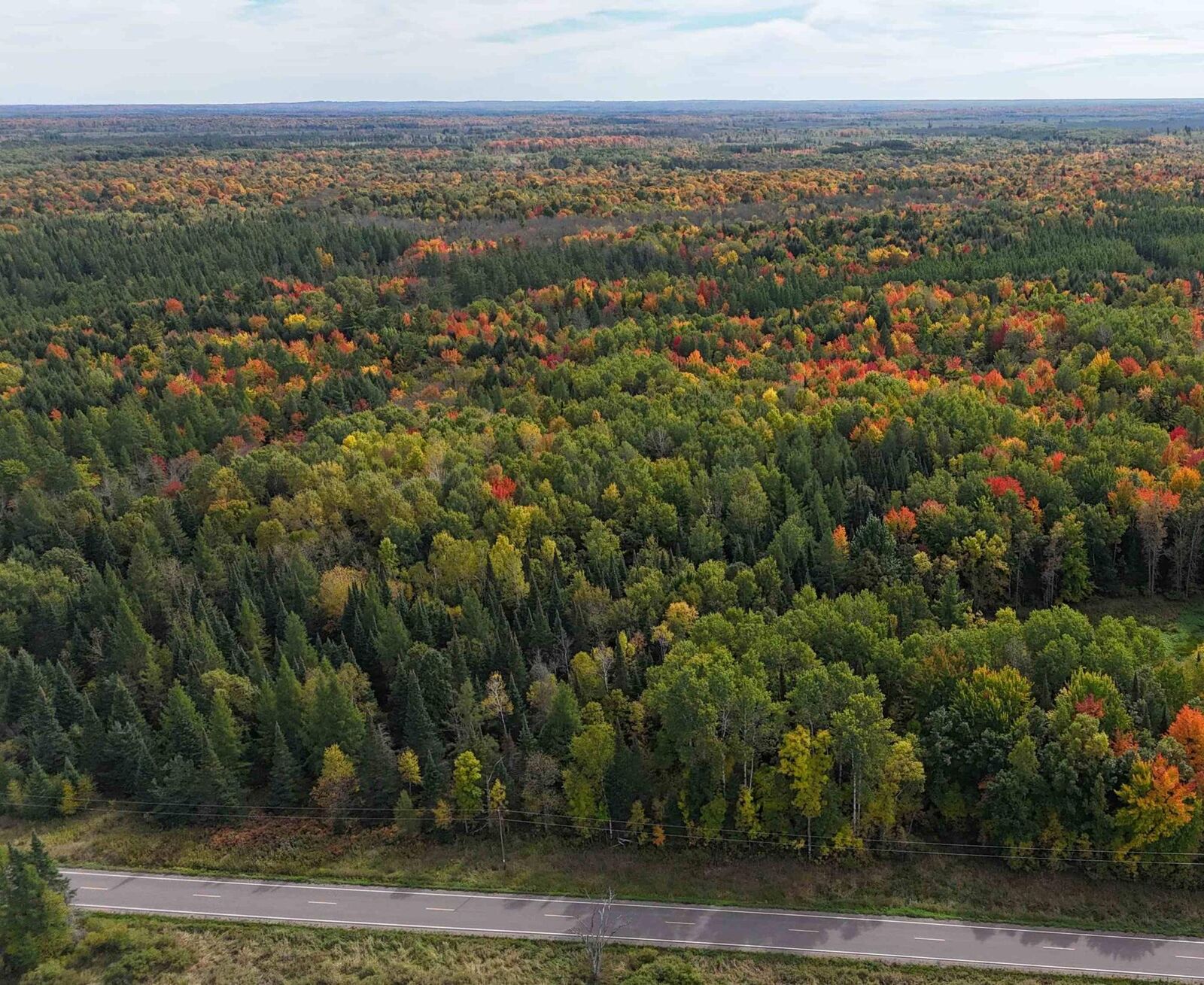 Property Photo:  W11303 Cth W  WI 54555 