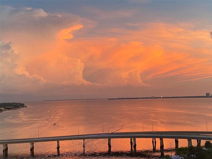 Property Photo:  345 Bayshore Boulevard 1203  FL 33606 