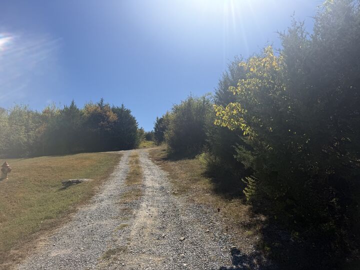 Property Photo: 0 Bryant Lane TN 37190