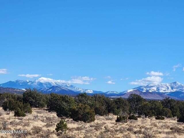 Property Photo:  1282 Watchtower, Lot C - 12 Ac  AZ 86046 