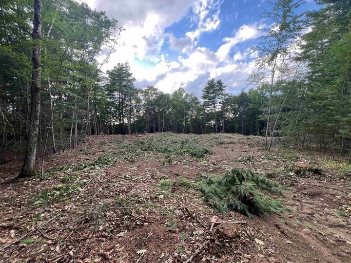 Property Photo:  36-1 Partridge Path  NH 03873 