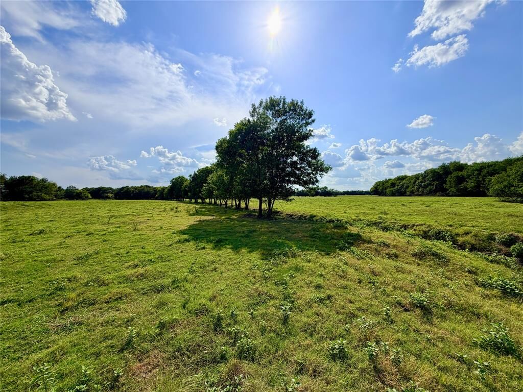 Property Photo:  Tbd Cr 2145  TX 75432 