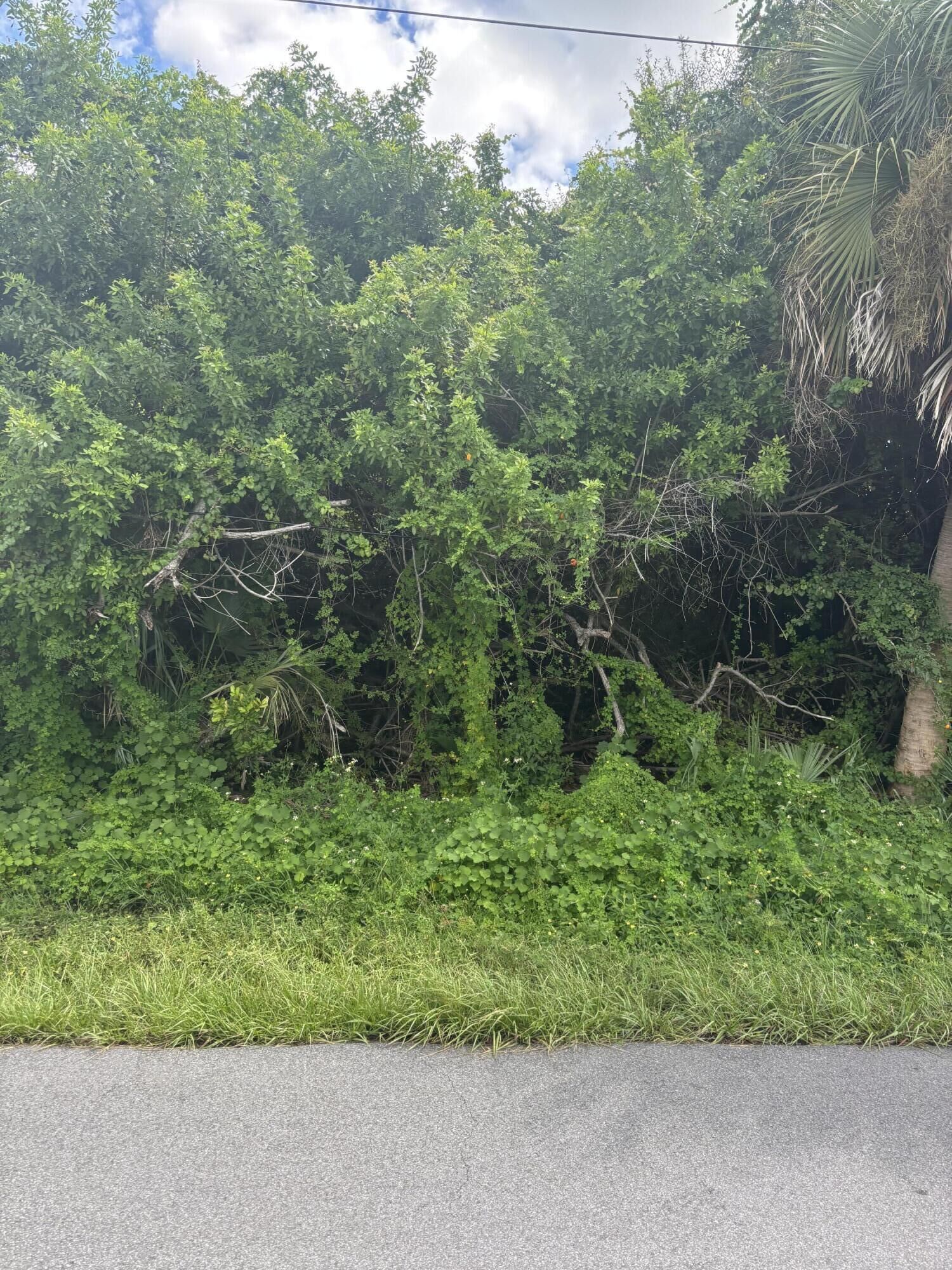 Property Photo:  4211 Talheim Street  FL 33948 