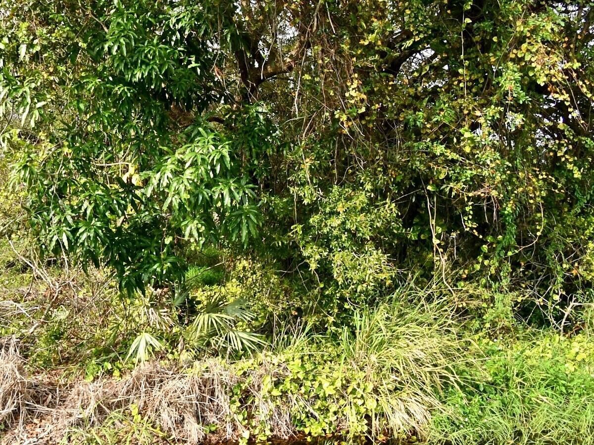 Property Photo: Tbd N 37th Street FL 34947