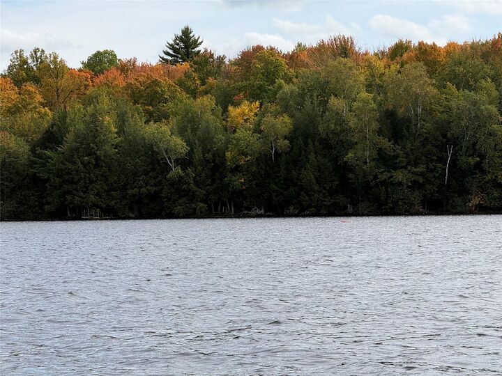 Property Photo:  Tbd Woodduck Lane  WI 54843 