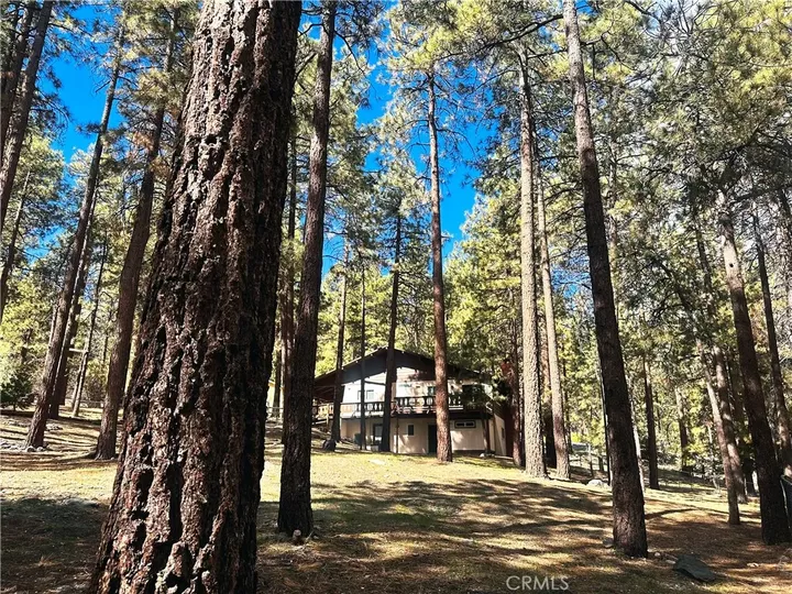 Property Photo: 5809 Pine CA 92397