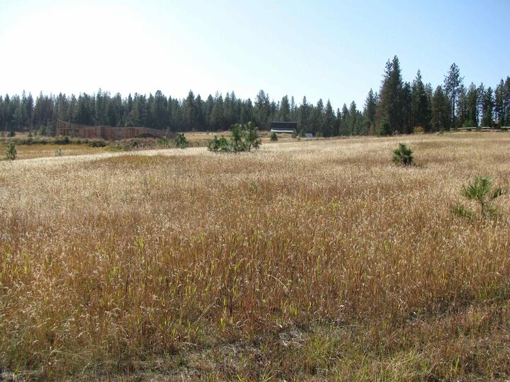 Property Photo:  7308 E Bigelow Gulch Rd  WA 99217 