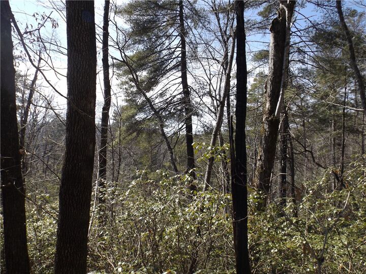 Property Photo:  130 Fairway Woods  SC 29671 