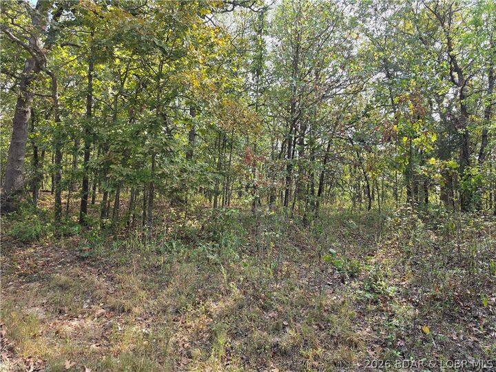 Property Photo:  Forbes Road 2556 & 2557  MO 65326 