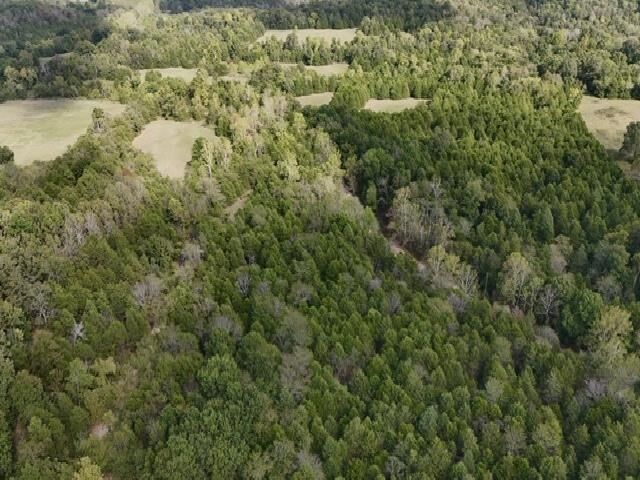 Property Photo:  Tbd N Hwy 289  AR 72513 