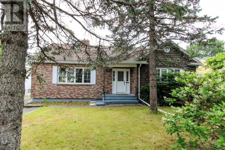 Property Photo: 137 Elizabeth Avenue NL A1B 1S2