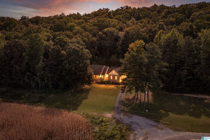 Property Photo:  6153 Burton Acres  AL 35952 