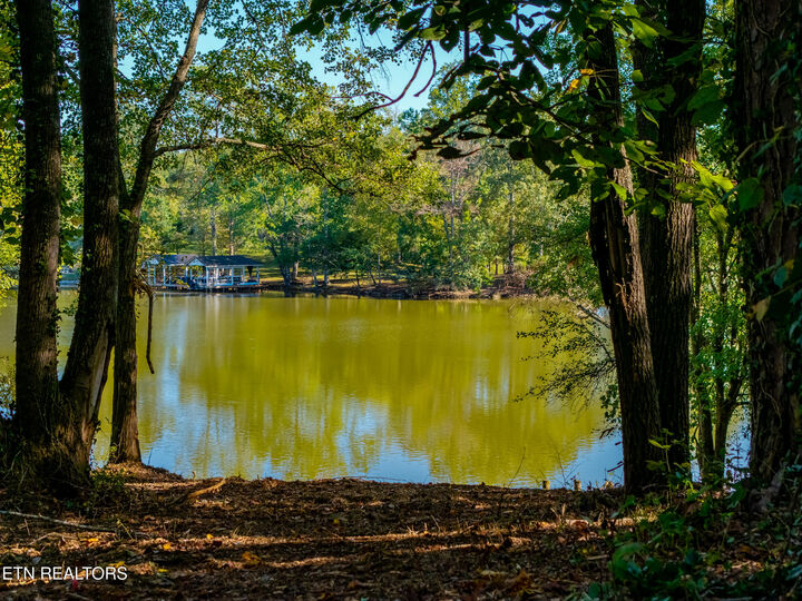 Property Photo:  Devault Rd  TN 37777 