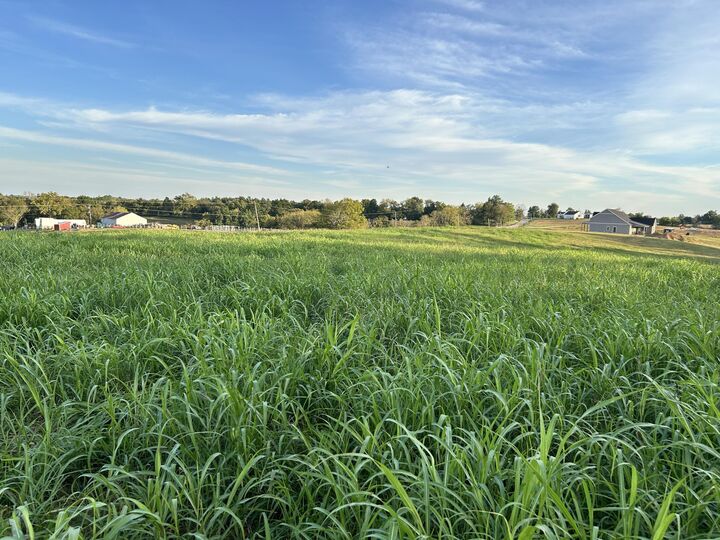 Property Photo: Tract #1 Mt Eden Road KY 40076