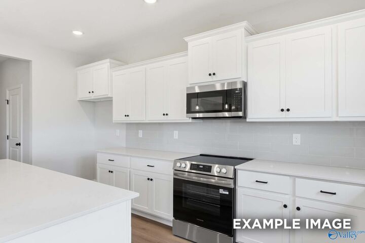 Property Photo: 157 Evergreen Mill Lane AL 35756