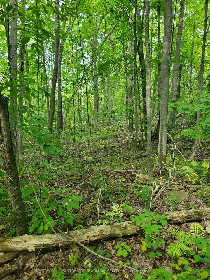 Property Photo:  0 Pt Lt 4 Con 8 Percy Pt 234 N/A  ON A0A 0A0 