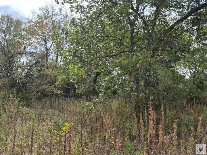 Property Photo:  Tbd S Front  TX 75570 