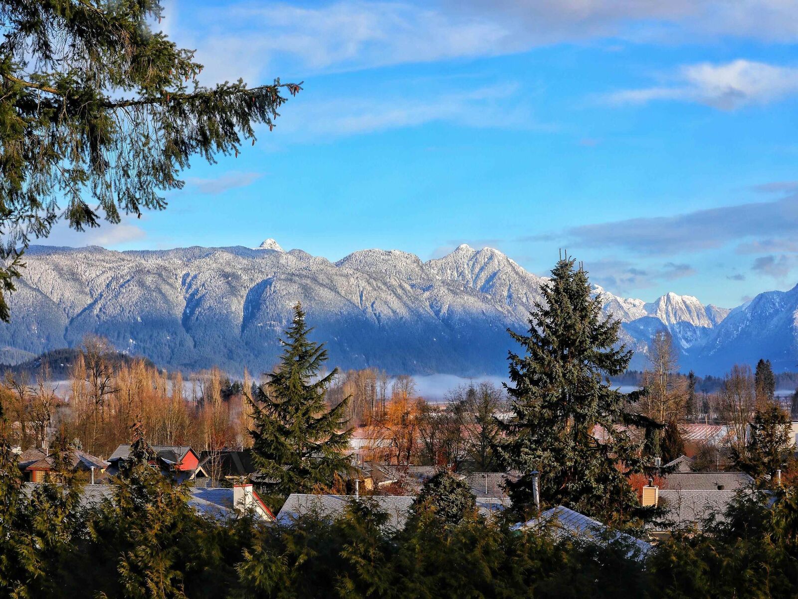 Property Photo: 21489 Cherry Place BC V2X 4L5