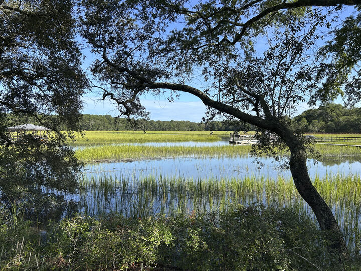 Property Photo:  8630 Middleton Point Lane  SC 29438 