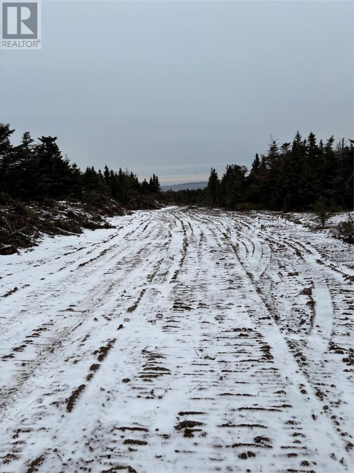 Property Photo:  Lot 3 Silas Morgan Estates  NL A1X 6R8 