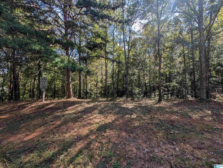 Property Photo:  4809 Laurel Trace 7  AL 36207 