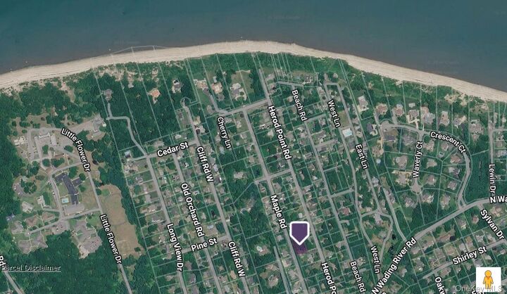 Property Photo:  156 Maple Road  NY 11792 