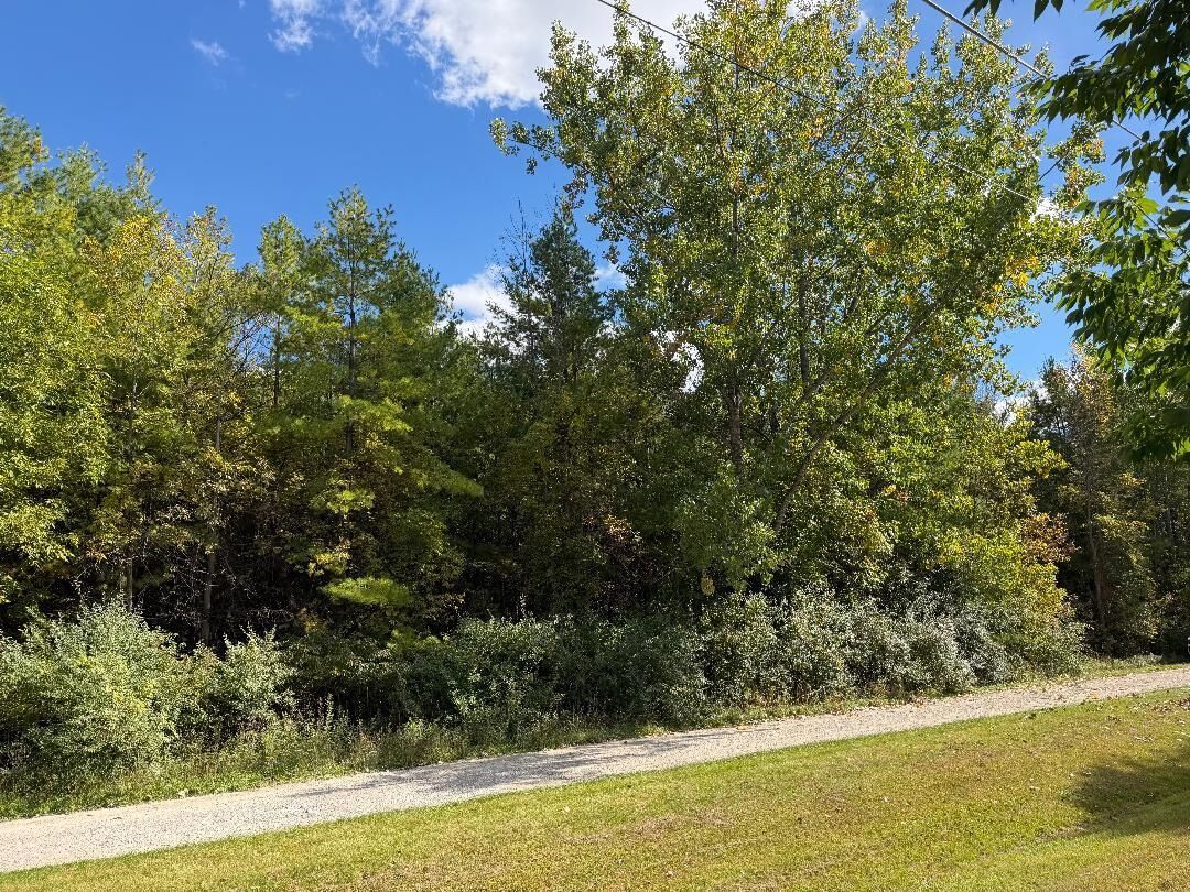 Property Photo:  Vl N Weeping Willow  MI 48657 