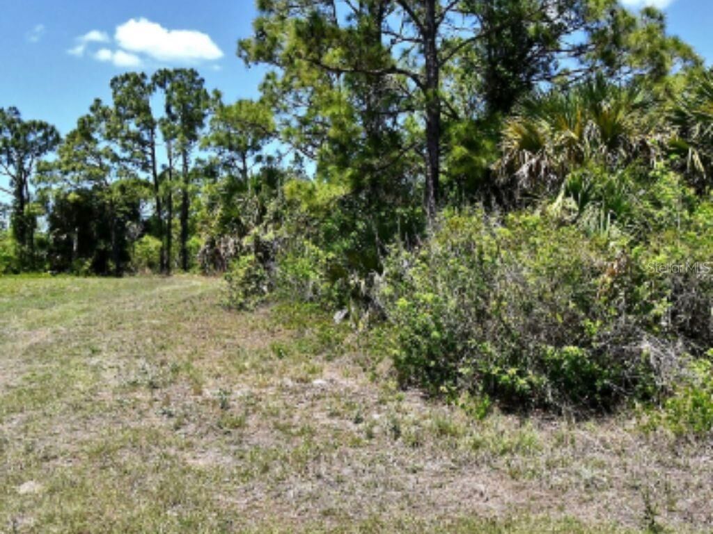 Property Photo:  Newman Drive  FL 34288 