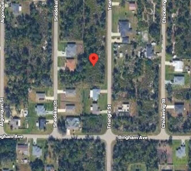 Property Photo:  133 Triangle Street  FL 33954 