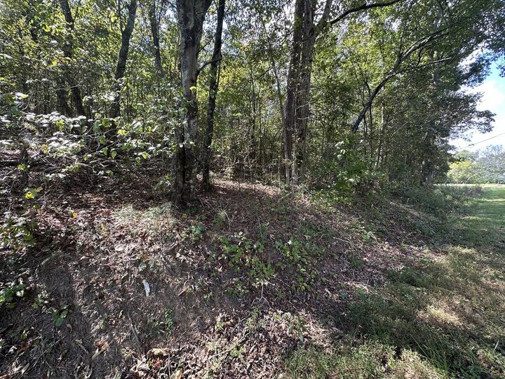 Property Photo:  0 Carver Mill Road  GA 30175 