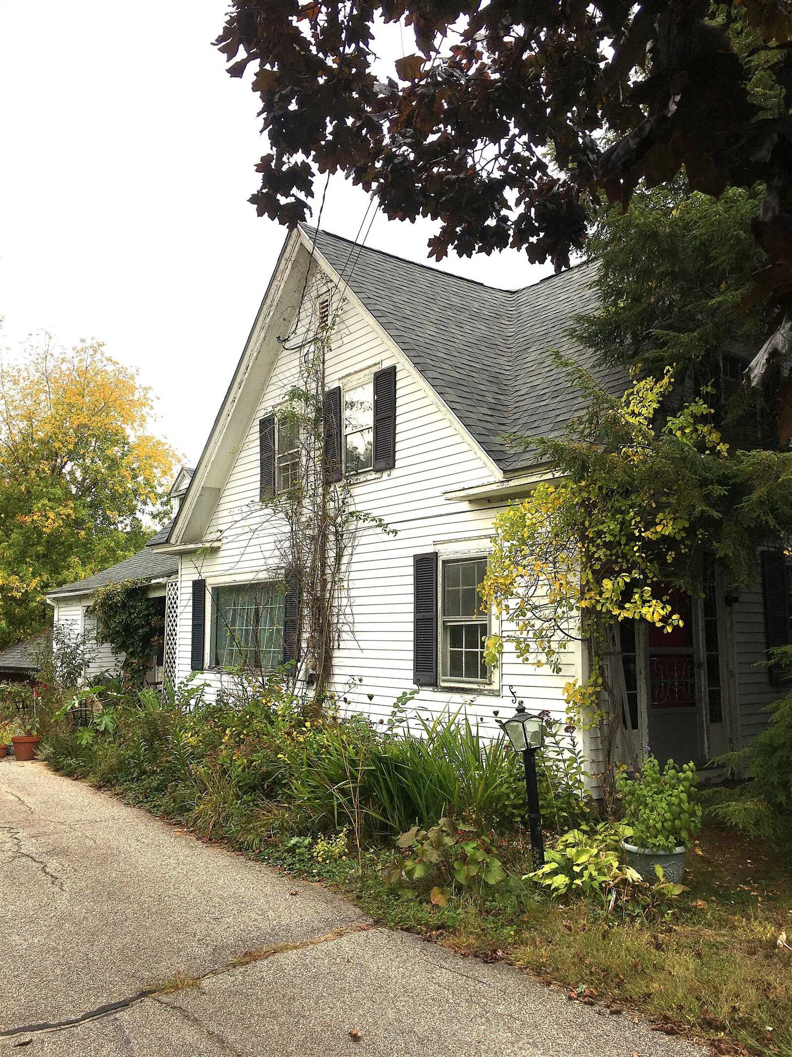 Property Photo:  436 Elm Street  NH 03246 