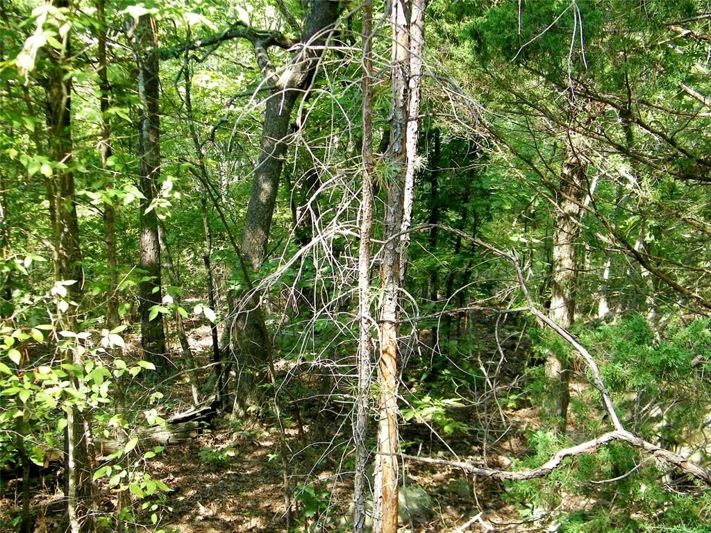 Property Photo:  Hee Creek  OK 74957 