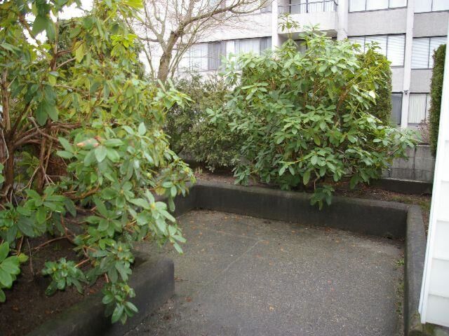 Property Photo:  707 8 Street 113  BC V3M 3S6 