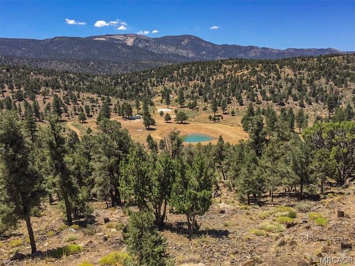 Property Photo:  550 Eagle Ridge Rd  CA 92314 