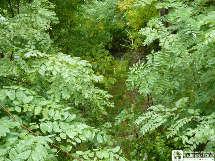 Property Photo: 341 E 5th Street NY 14701