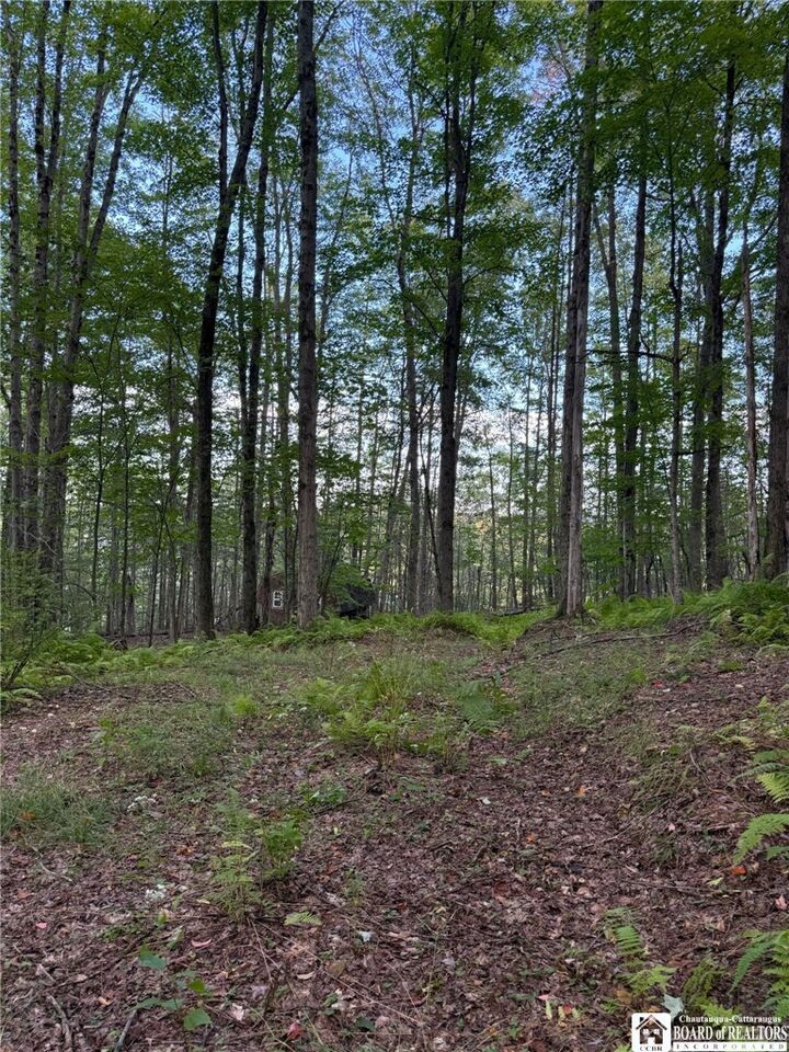 Property Photo:  47 Studer Road  NY 14708 