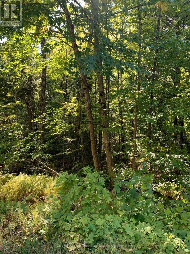 Property Photo: 00 Ahmic Lake Road ON P0A 1P0