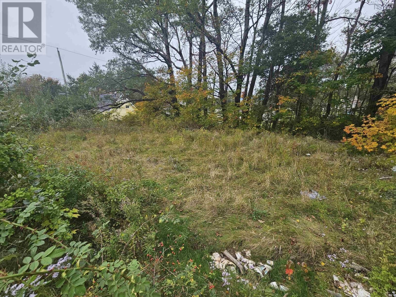 Property Photo:  42 & 46 Church Street  NS B0M 1X0 