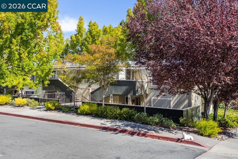 Property Photo:  1116 Running Springs Rd 7  CA 94595 