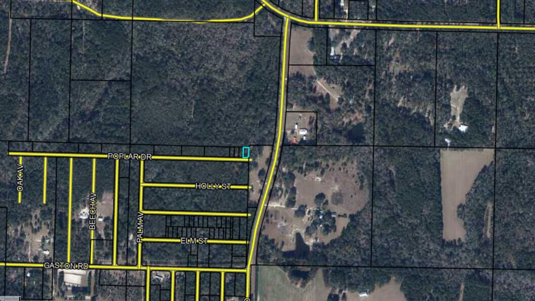 Property Photo:  Lot 50/51 Poplar Drive  FL 32462 