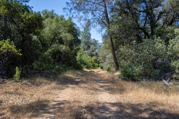 Property Photo:  47850 Road 620  CA 93644 