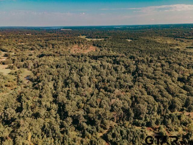 Property Photo: Tbd Hwy 110 S Highway 110 TX 75789