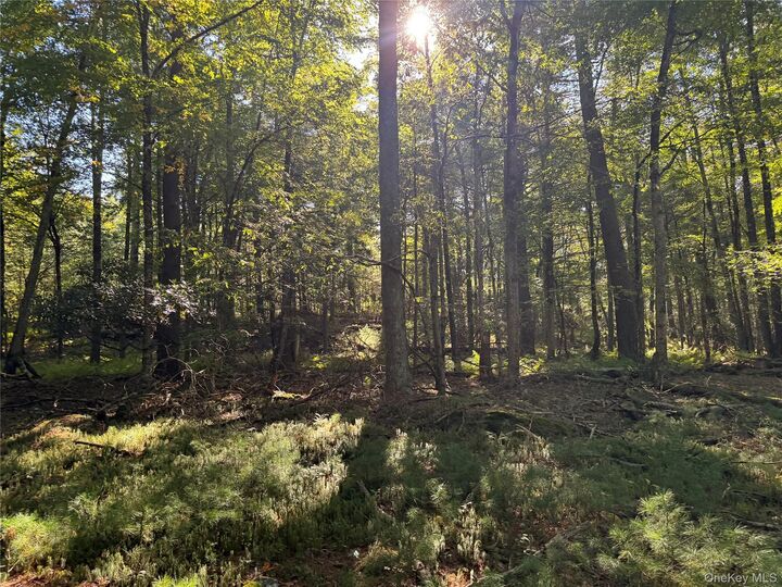 Property Photo:  Lot 1 Chapin Trail  NY 12720 