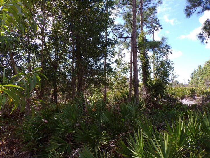 Property Photo:  12253 Green Gulf Boulevard  FL 33955 