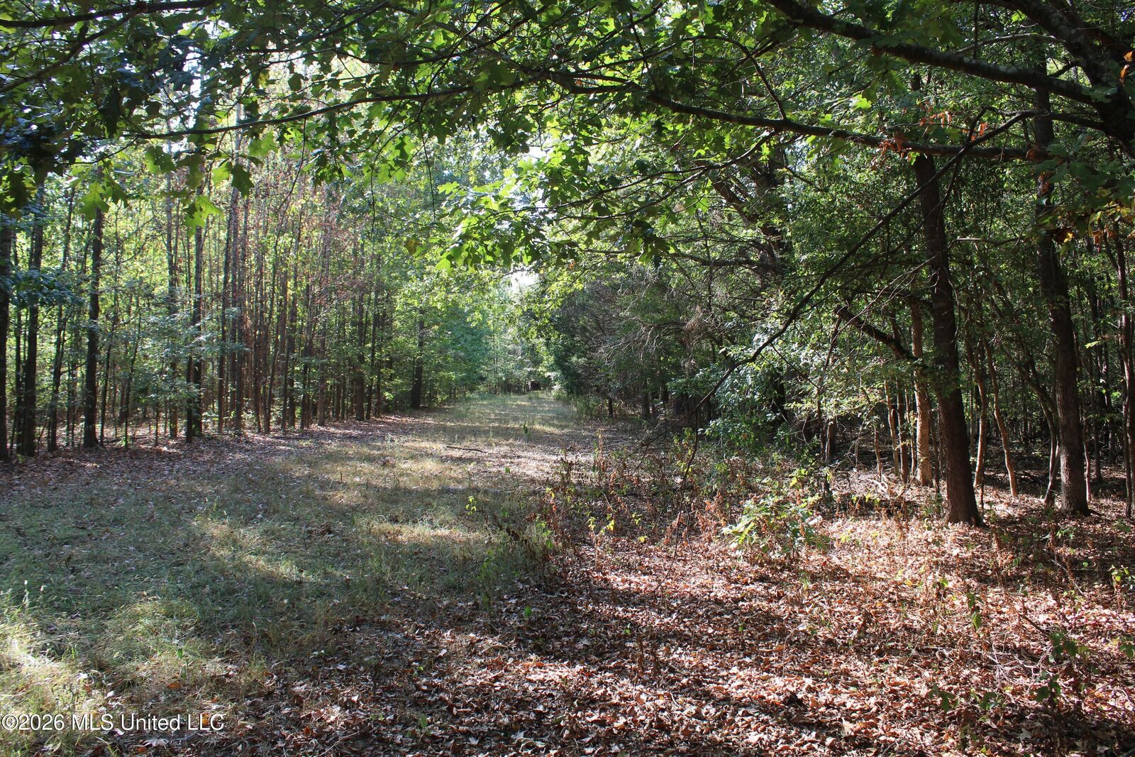 Property Photo:  16 Tulane Road  MS 38651 