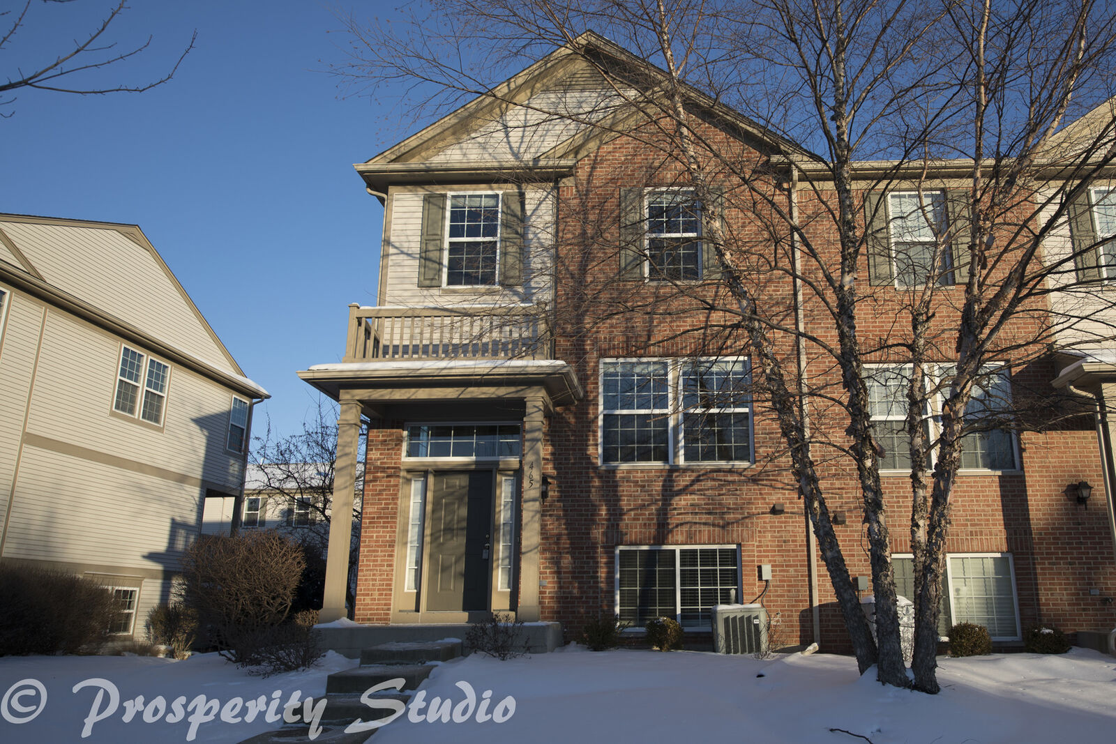 Property Photo:  465 Conservatory Lane 465  IL 60502 