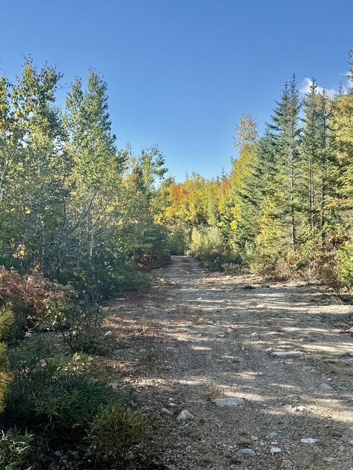 Property Photo: Lot 4 Number 7 Road ME 04680