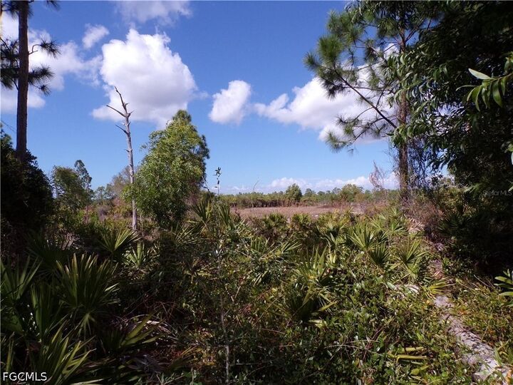 Property Photo:  12247 Green Gulf Boulevard  FL 33955 
