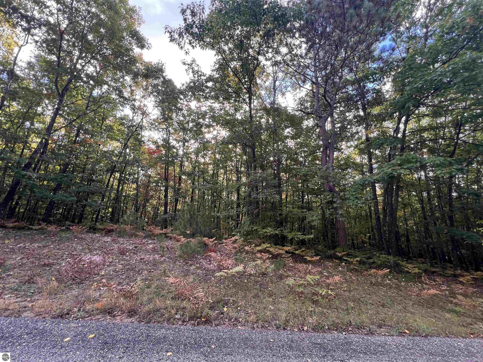 Property Photo: Lot 53 Bramblewood Drive MI 49601